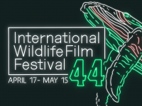 International Wildlife Film Festival International Wildlife Film Festival