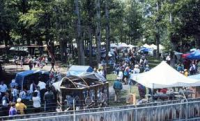 Art In Washoe Park Art In Washoe Park