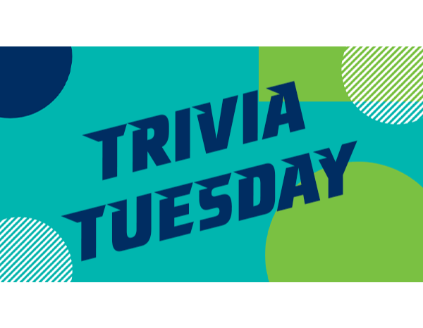 Trivia Tuesday @ Gunsight Saloon Trivia Tuesday @ Gunsight Saloon