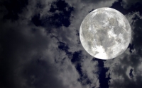 Full Moon Hike: Park After Dark Full Moon Hike: Park After Dark