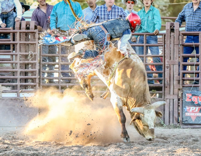 Brash Rodeo Summer Series Brash Rodeo Summer Series