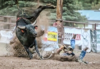 Heritage Days Open Rodeo Heritage Days Open Rodeo