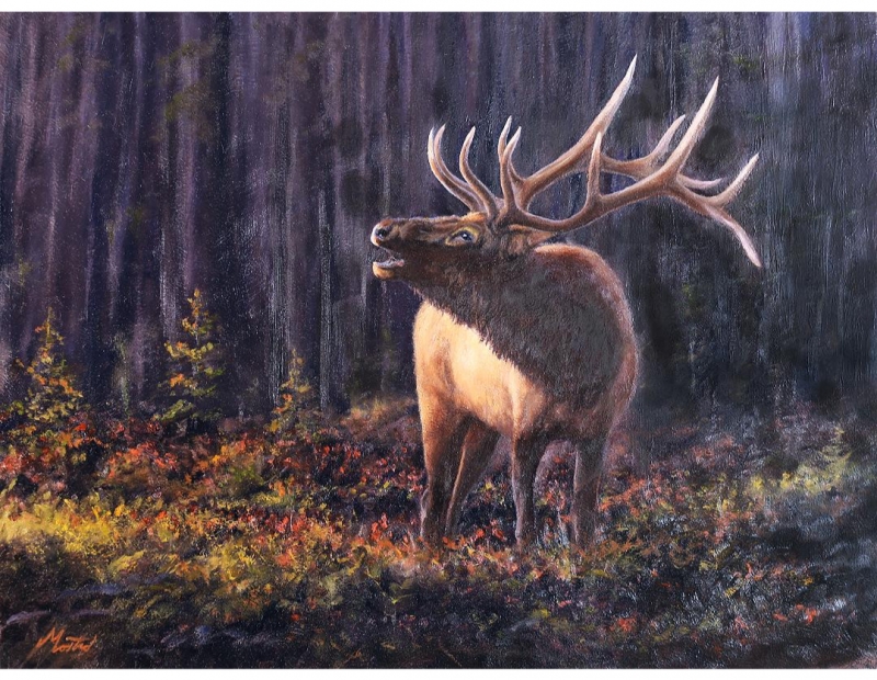 Meet The Artist, Tom Mostad Meet The Artist, Tom Mostad
