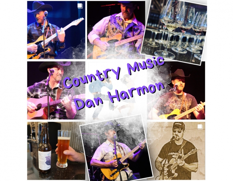 Live Music with Dan Harmon!