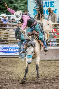 Brash Open Rodeo Brash Open Rodeo