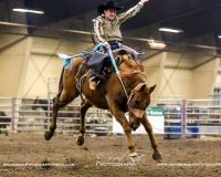 Brash Rodeo Winter Series Brash Rodeo Winter Series