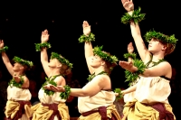 Hula Ho'ike Hula Ho'ike