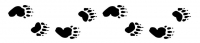 Wildilfe Tracking For Beginners Wildilfe Tracking For Beginners