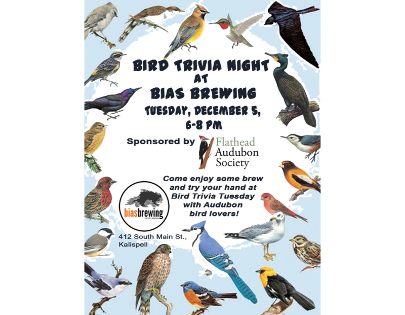 Bird Trivia Night 