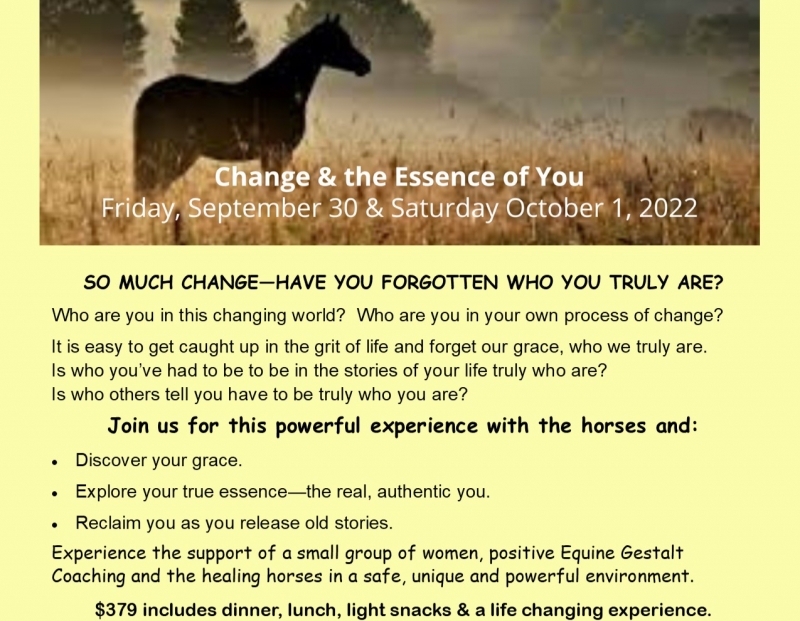 Change & the Essence of You Fall Intensive