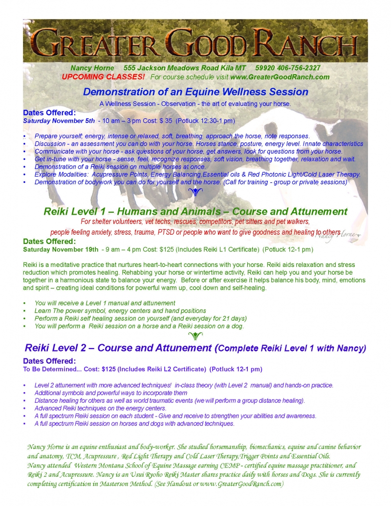 Animals and Reiki level 1