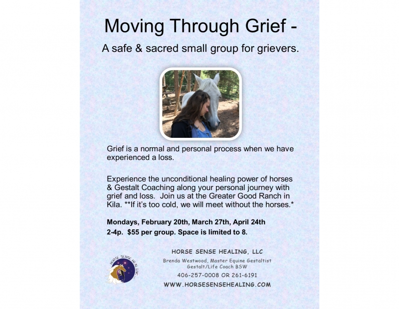 Moving Through Grief - An Equine Supported Small Group