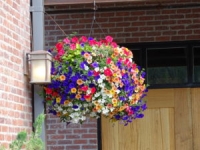 Hanging Basket Workshop Hanging Basket Workshop