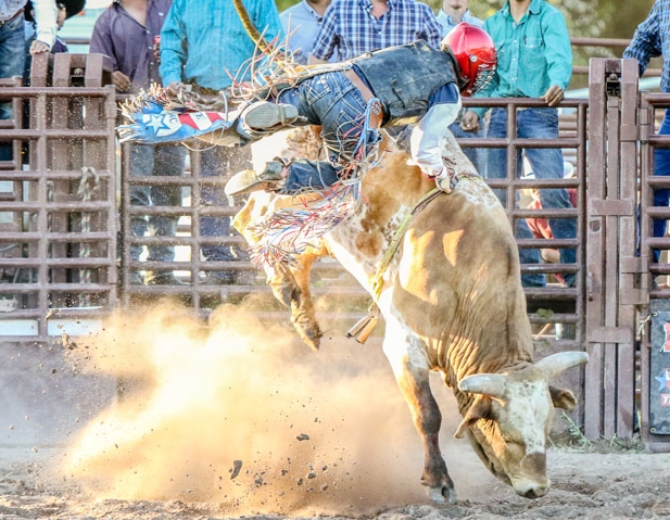 Summer Series Rodeo Summer Series Rodeo