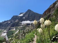 Going-to-the-Sun Road Day Program Going-to-the-Sun Road Day Program