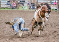 Brash Rodeo Winter Series Brash Rodeo Winter Series