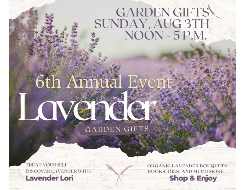 6th Annual Lavender Event 6th Annual Lavender Event