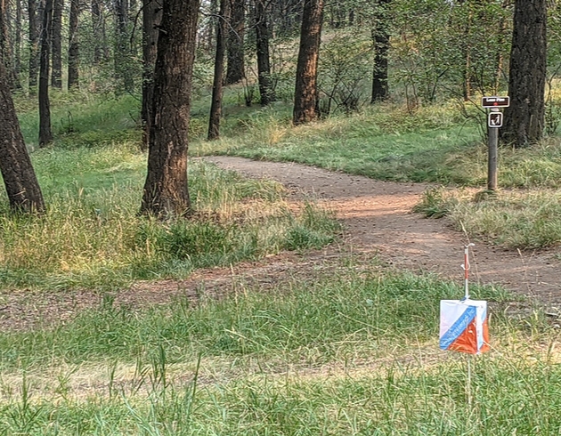 Orienteering at Lone Pine State Park