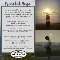 Prenatal Yoga Prenatal Yoga