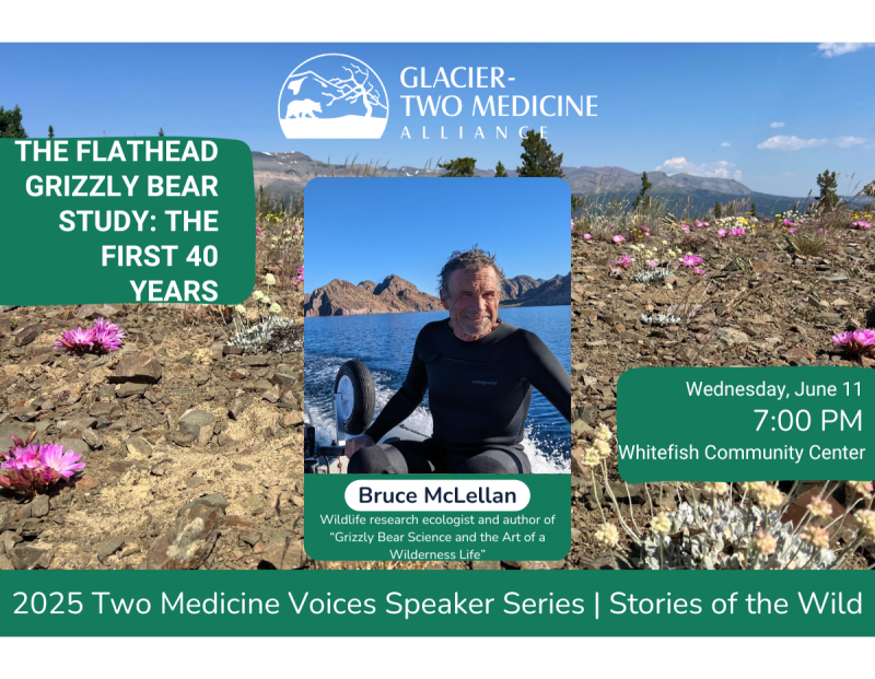 The Flathead Grizzly Bear Study: The First 40 Years The Flathead Grizzly Bear Study: The First 40 Years