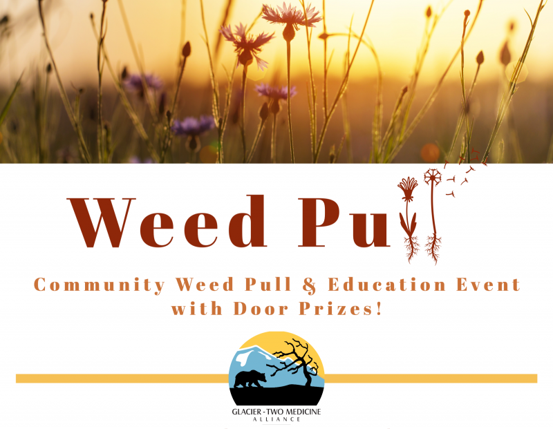 Community Weed Pull and Education