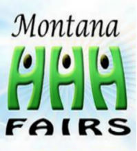 Holistic Wellness Fair by Health, Heart and Healing Holistic Wellness Fair by Health, Heart and Healing