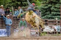 Brash Rodeo Summer Series Brash Rodeo Summer Series