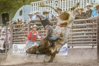 Brash Rodeo Summer Series Brash Rodeo Summer Series