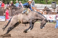 Brash Rodeo Summer Series Brash Rodeo Summer Series
