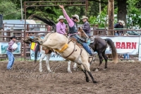 Brash Rodeo Summer Series Brash Rodeo Summer Series