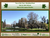 Tour of the Trees - Woodland Park Tour of the Trees - Woodland Park