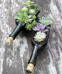 Wine Bottle Succulent Planter Workshop Wine Bottle Succulent Planter Workshop