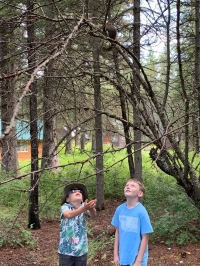 Columbia Falls Day Camp Columbia Falls Day Camp