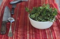 Cut the Crap - Cooking Skills for a Healthier You Cut the Crap - Cooking Skills for a Healthier You
