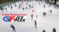 Public Skate Public Skate