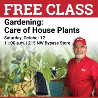 Free Class - Gardening: Care of House Plants Free Class - Gardening: Care of House Plants