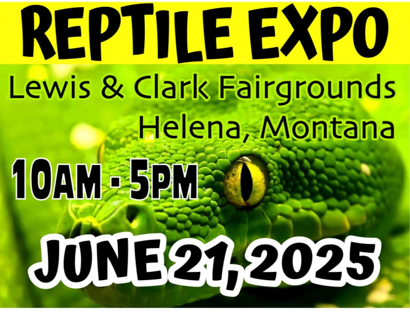 Big Sky Reptile Expo Big Sky Reptile Expo