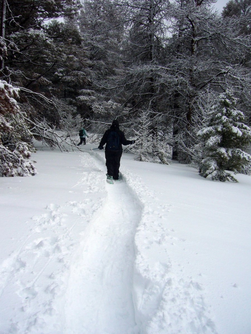 Moose Creek Cabin Open House And Snowshoe 01 09 2016 Near Helena