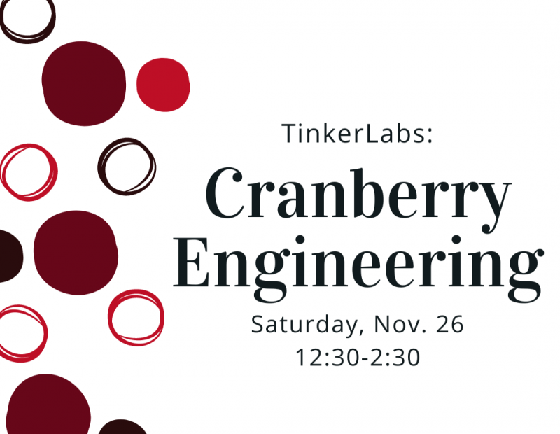 ExplorationWorks TinkerLabs: Cranberry Engineering