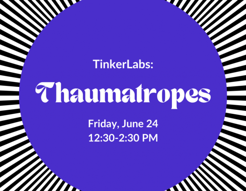 ExplorationWorks TinkerLabs: Thaumatropes