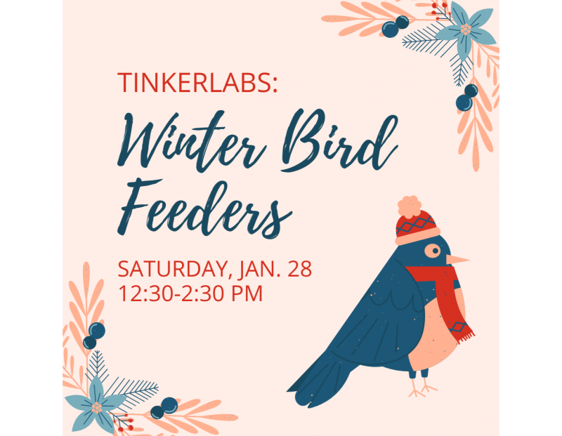 ExplorationWorks TinkerLabs: Winter Bird Feeders