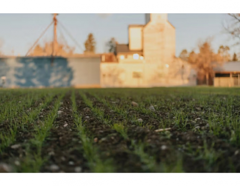 Wine and Soil: The Science and Magic of Terroir Wine and Soil: The Science and Magic of Terroir
