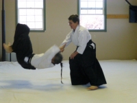 Intro Courses in Helena Aikido Intro Courses in Helena Aikido