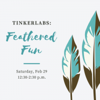TinkerLabs: Feathered Fun TinkerLabs: Feathered Fun