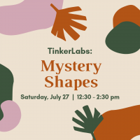 TinkerLabs: Mystery Shapes TinkerLabs: Mystery Shapes