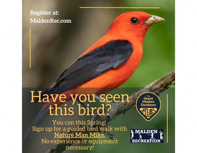 Guided Bird Watching Guided Bird Watching