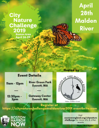 City Nature Challenge on the Malden River City Nature Challenge on the Malden River