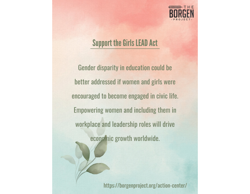 support the borgen project