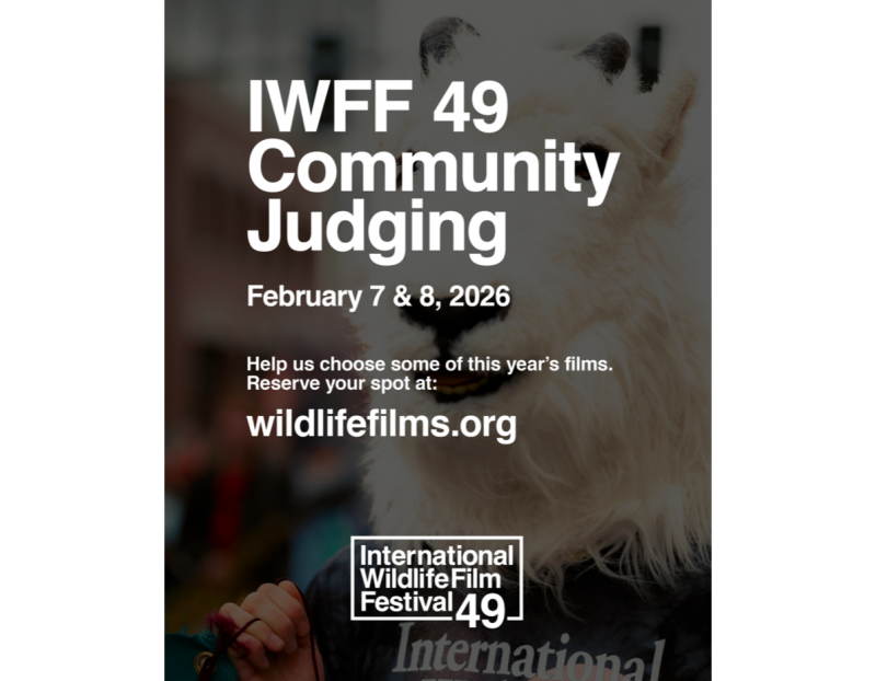 Image for IWFF Community Judging event