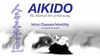 Aikido Fundamentals for Adults Aikido Fundamentals for Adults